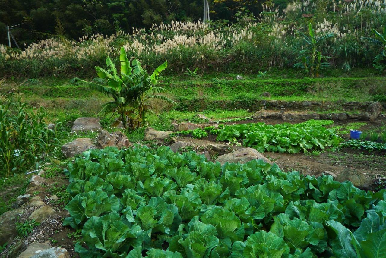 Shuitianfarm Ξενοδοχείο Jianshi Εξωτερικό φωτογραφία